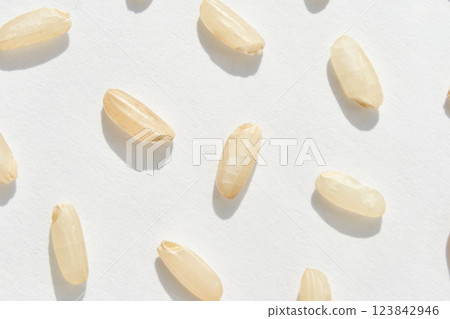Close up of raw white rice grains on white background showcasing texture Close up of raw white rice grains on white background showcasing texture 123842946