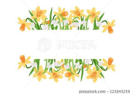 Floral banner illustration with yellow daffodils and delicate white snowdrops, creating a natural spring frame with space for text, perfect for invitations and seasonal designs. Vector illustration 123843259