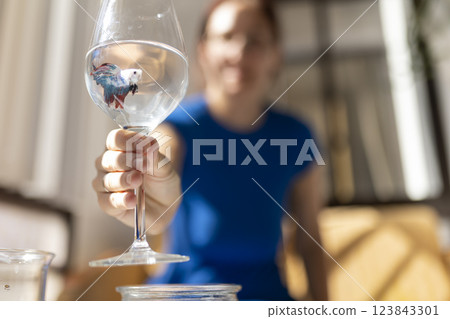 Woman holding wine glass with betta fish inside: observing colorful aquatic pet 123843301