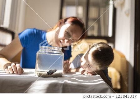 Mother and son admiring a small fish in a glass jar 123843317