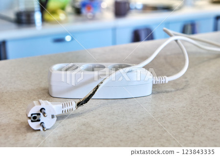 Charred extension cord with tee that overheated and caused short circuit. 123843335