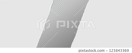 Realistic ripped white paper sheets isolated on transparent background. Torn blank pages with uneven texture. Vector Realistic ripped white paper sheets isolated on transparent background. Torn blank pages with uneven texture. Vector 123843369
