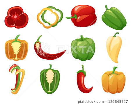 Cartoon peppers and paprika. Sliced cut peppers, half paprika. Fresh vegetables, raw ingredients for vitamin salad, cooking dish, healthy nowaday vector food 123843527