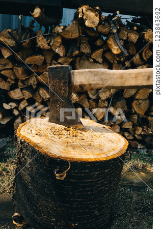 An axe with a wooden handle stuck in a wooden stump, harvesting firewood in the forest 123843692
