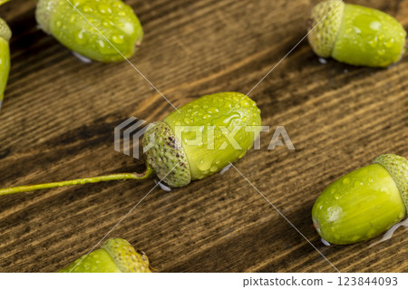not ripe green oak acorn close up 123844093