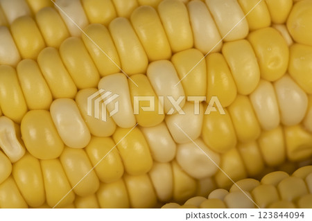 peeled corn cob with yellow and white seeds of different sizes and shades 123844094
