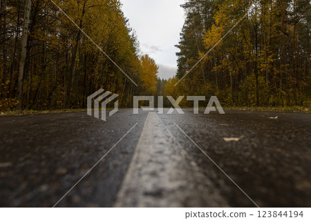 a small paved road in autumn is wet after rain 123844194