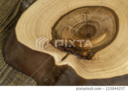 processed beautiful walnut wood used for the manufacture of objects 123844257