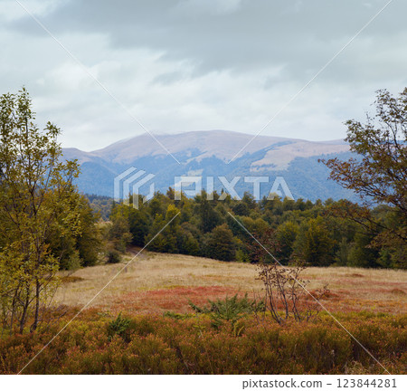 autumn mountain road view 123844281