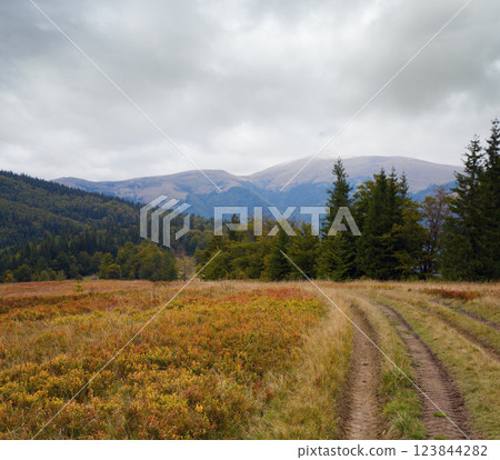autumn mountain road view autumn mountain road view 123844282