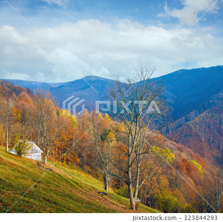 autumn mountain view 123844293