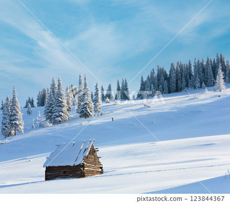winter mountain landscape 123844367
