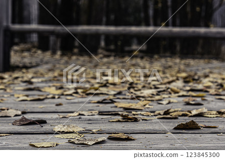 Red and orange autumn leaves background 123845300