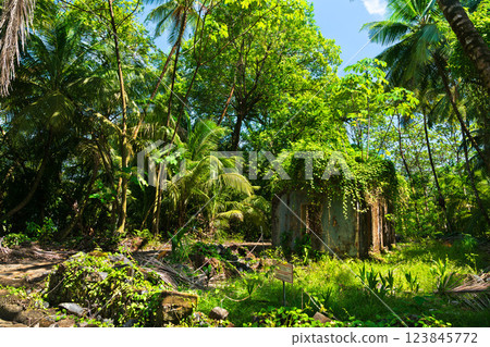 Remains of notorious penal colony in Saint Joseph Island, Salvation Islands, French Guiana, South America 123845772