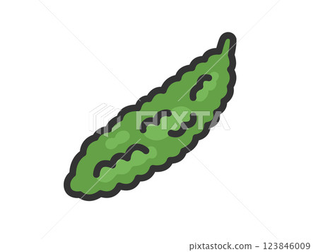 苦瓜圖示插圖（線條描彩色） 123846009