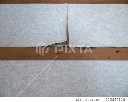 Peeling wallpaper Peeling wallpaper 123846120
