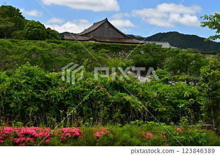 新綠的篠山城 123846389