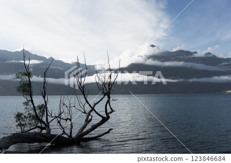 Lake Wakatipu and dead trees in Queenstown, New Zealand Lake Wakatipu and dead trees in Queenstown, New Zealand 123846684