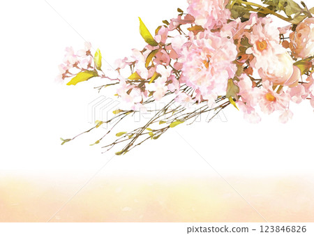 粉紅春花框圖(櫻花、牡丹、日本紙) 粉紅春花框圖(櫻花、牡丹、日本紙) 123846826