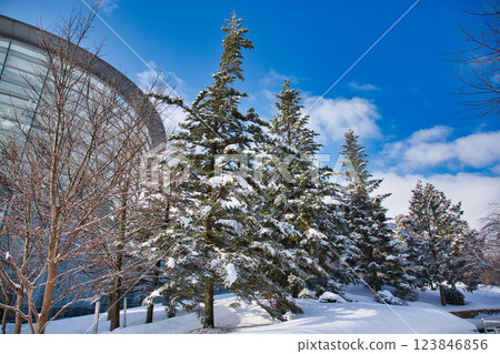 下馬中央公園，雪中的遊樂場 123846856