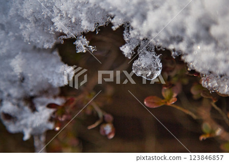 下馬中央公園，雪中的遊樂場 123846857