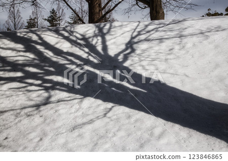 下馬中央公園,雪中的遊樂場 下馬中央公園,雪中的遊樂場 123846865