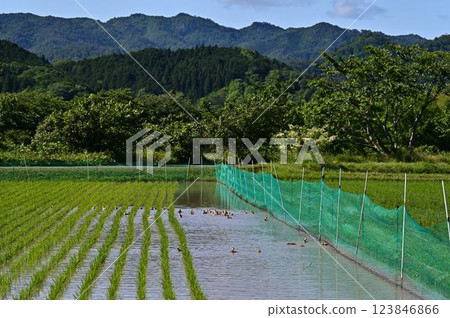 丹波篠山的風景 123846866