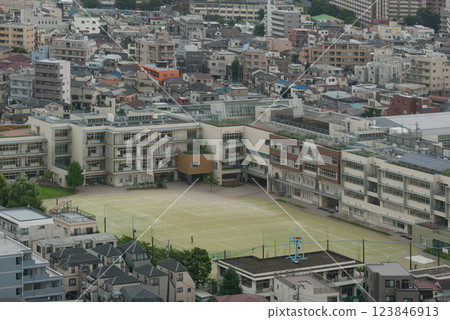 A green school in a residential area 123846913