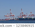 Cargo ship docked at container wharf 123846915