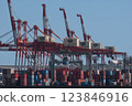 Container wharf 123846916