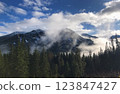 Snowy Mountains with Mist and Evergreen Trees  123847427