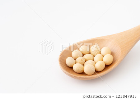 木匙上的大豆(乾) 木匙上的大豆(乾) 123847913