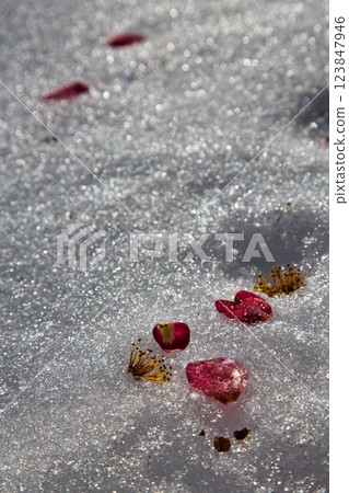 綠色中心的春天即將來臨 綠色中心的春天即將來臨 123847946