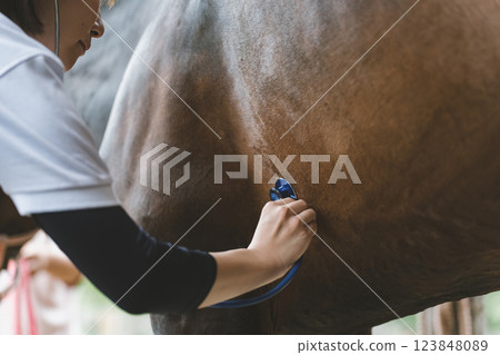 獸醫 馬 馬兒 123848089