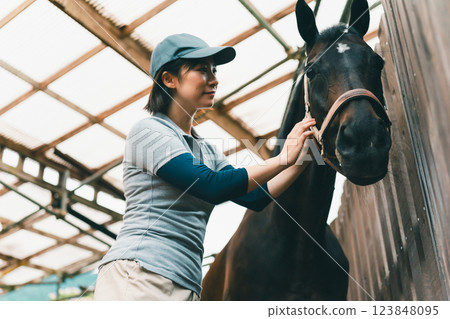 horse, female, females 123848095