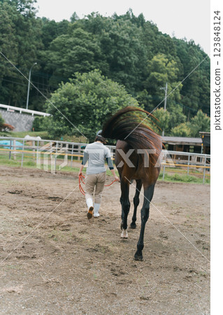 horse, female, lady 123848124
