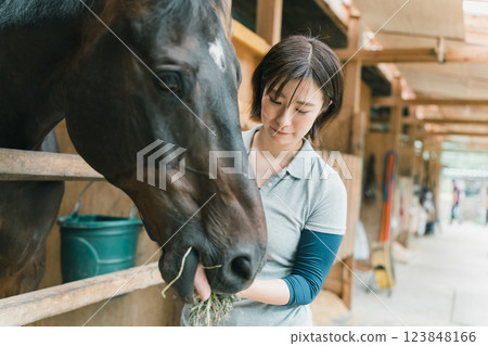 horse, female, lady 123848166