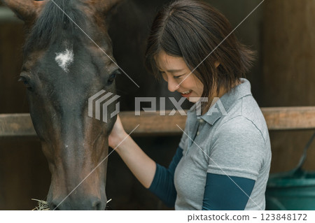 horse, female, females 123848172