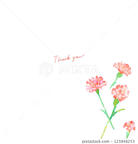 Watercolor painting. Watercolor Mother's Day carnation illustration. Mother's Day carnation background vector illustration. 123848253