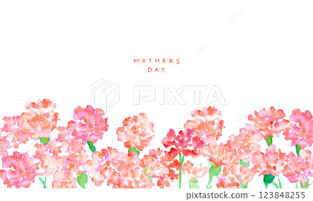 Watercolor painting. Watercolor Mother's Day carnation illustration. Mother's Day carnation background vector illustration. 123848255