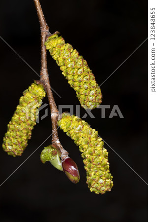 Welcome Welcome 123848655