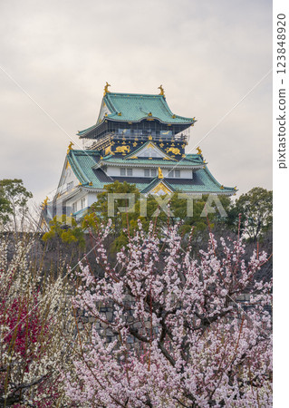 Osaka Castle Plum Grove: Plum blossoms in full bloom and the Osaka Castle tower shining in the evening light 123848920