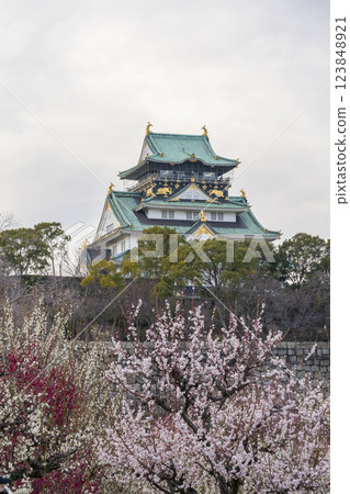 大阪城梅林:盛開的梅花與夜色中熠熠生輝的大阪城天守閣 大阪城梅林:盛開的梅花與夜色中熠熠生輝的大阪城天守閣 123848921