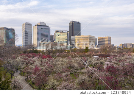 大阪城梅林：梅花盛開，夕陽映照下的大阪商務公園 123848934