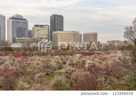 Osaka Castle Plum Grove: Plum blossoms in full bloom and Osaka Business Park illuminated by the setting sun Osaka Castle Plum Grove: Plum blossoms in full bloom and Osaka Business Park illuminated by the setting sun 123848939