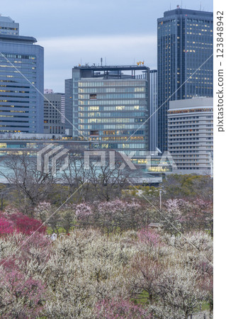 日落後的大阪城梅林、盛開的梅花和大阪商業公園 日落後的大阪城梅林、盛開的梅花和大阪商業公園 123848942