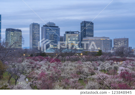 日落後的大阪城梅林、盛開的梅花和大阪商業公園 123848945
