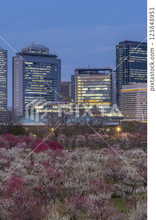 大阪城梅林夜景:盛開的梅花和大阪商務公園 大阪城梅林夜景:盛開的梅花和大阪商務公園 123848951