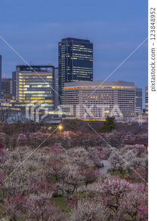 大阪城梅林夜景:盛開的梅花和大阪商務公園 大阪城梅林夜景:盛開的梅花和大阪商務公園 123848952