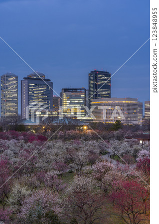 Osaka Castle Plum Grove at Night: Plum blossoms in full bloom and Osaka Business Park 123848955